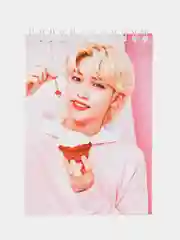 Манго блокнот KPOP Stray Kids
