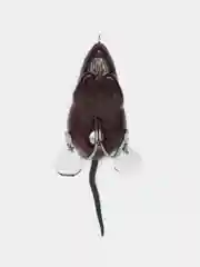 Багровый приманка мышь-незацепляйка Namazu Mouse, длина 75 мм, вес 26 гр