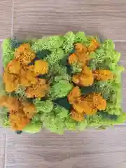 Панно из природного мха