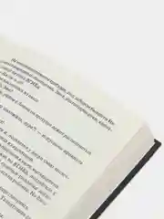 Книга Монтана, Ванечка и другие, или Почувствуйте разницу, детектив, Эдуард Тополь