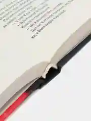 Книга Монтана, Ванечка и другие, или Почувствуйте разницу, детектив, Эдуард Тополь