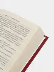 Книга "Люб Киевич". Исторический роман. Олейник Александр