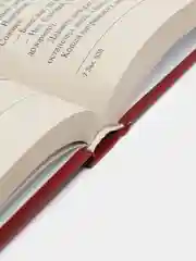 Книга "Люб Киевич". Исторический роман. Олейник Александр
