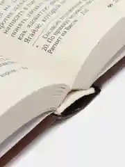 Книга "Грюнвальдский бой, или Славяне и немцы", исторический роман