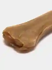 Кость из жил, 16 см