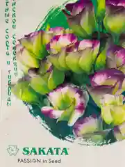 Семена "Эустома. Северное сияние"