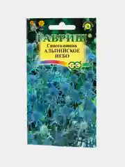 Семена Синеголовник, цветы