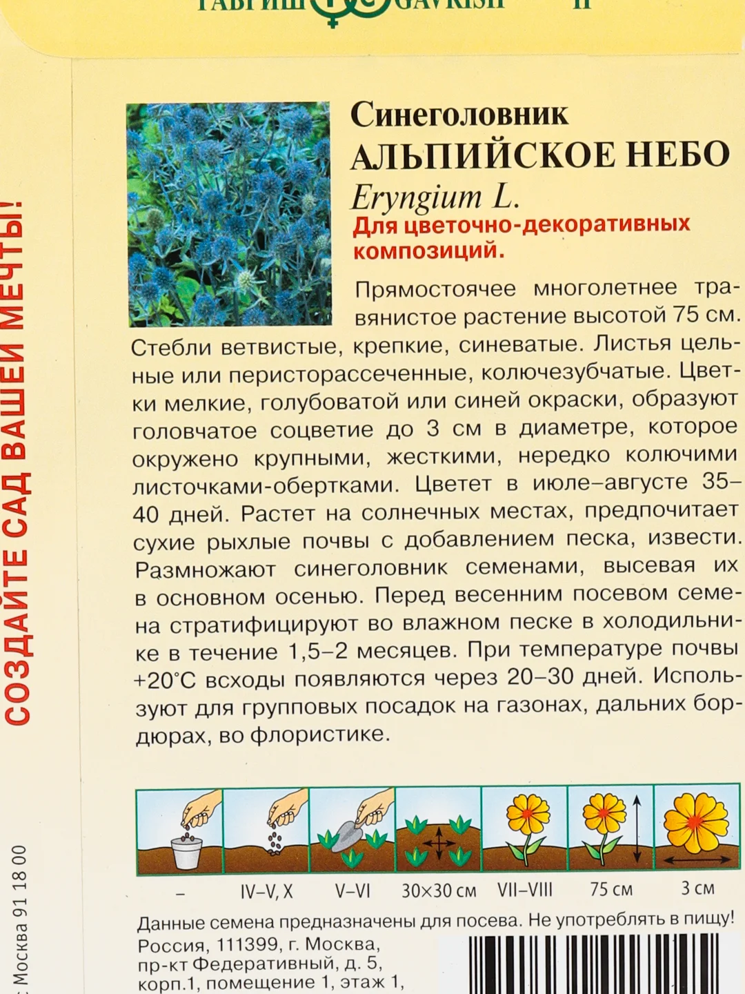 Семена Синеголовник, цветы