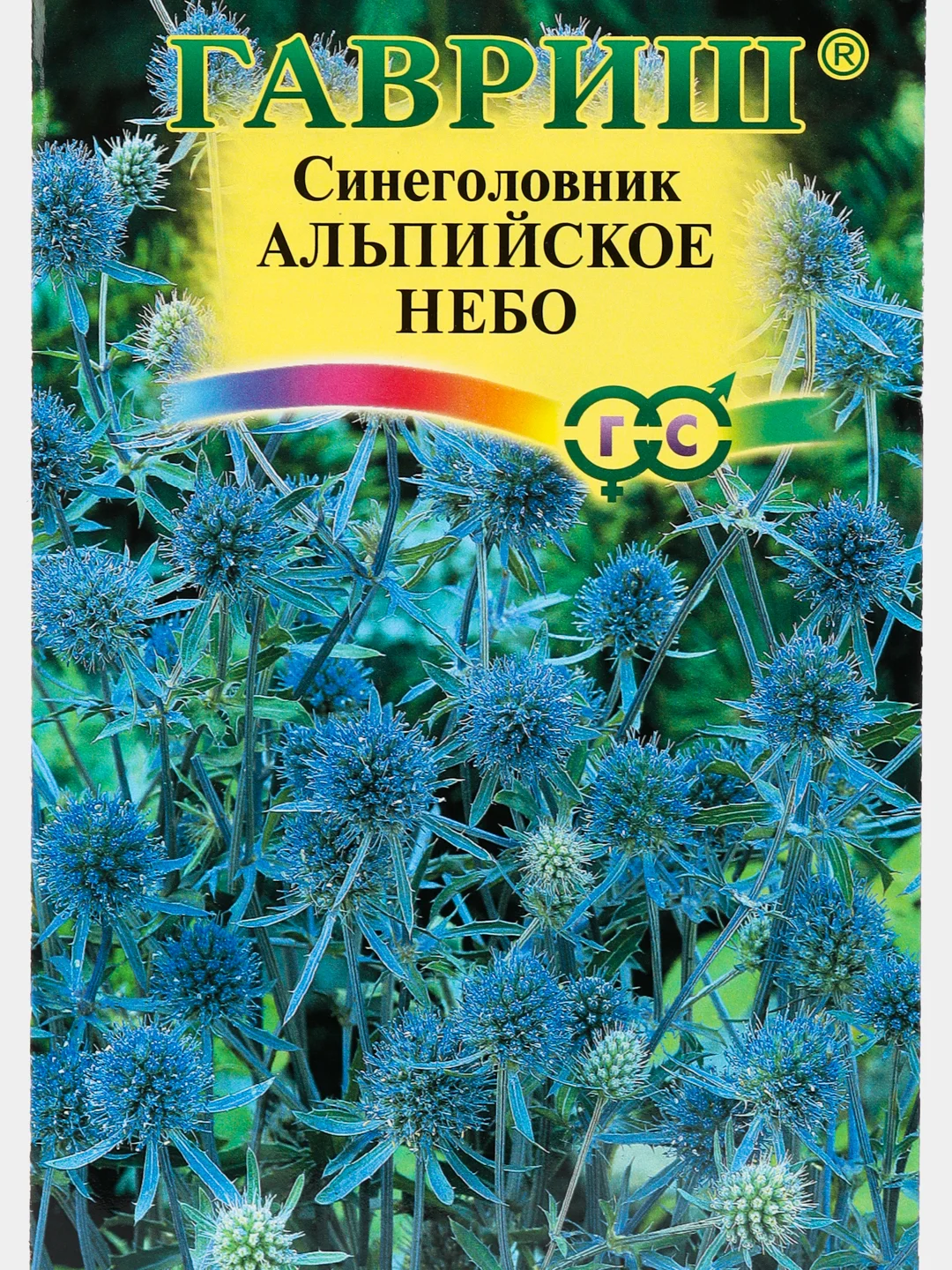 Семена Синеголовник, цветы