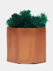 Бронзовый стаканчики с мхом