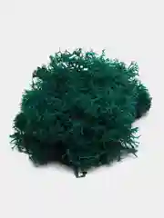Бронзовый стаканчики с мхом