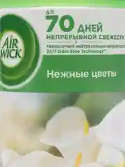 Сменный баллон AIR WICK Freshmatic Нежные цветы, 250мл