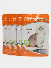 Влажный корм для кошек "Кэт Ланч", кусочки в желе, курица, паучи, 5 шт по 85 гр