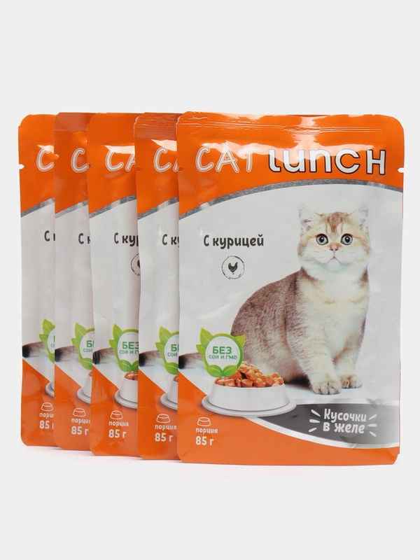 Влажный корм для кошек "Кэт Ланч", кусочки в желе, курица, паучи, 5 шт по 85 гр