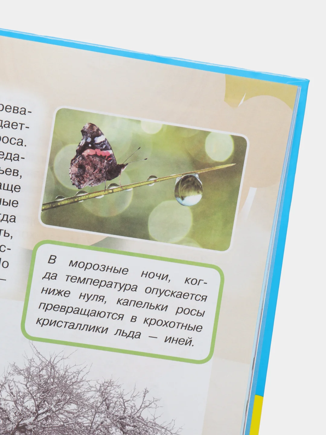 Книга "Большой подарок любимому сыну. Большие буквы. Большие картинки"