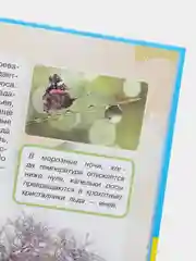 Книга "Большой подарок любимому сыну. Большие буквы. Большие картинки"