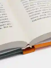 Книга Человек из офиса, Гильермо Саккоманно. Современная зарубежная проза, роман