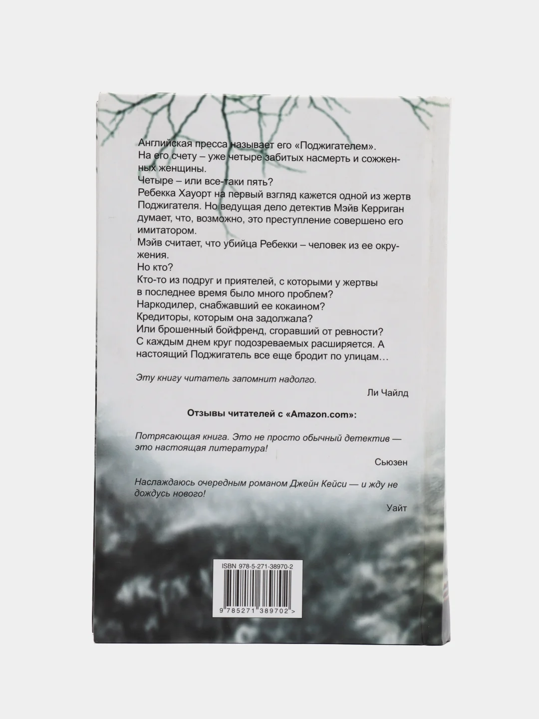 Книга Поджигатель, Джейн Кейси. Криминальный зарубежный детектив