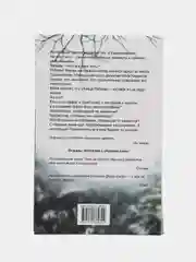 Книга Поджигатель, Джейн Кейси. Криминальный зарубежный детектив