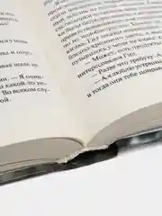 Книга Поджигатель, Джейн Кейси. Криминальный зарубежный детектив