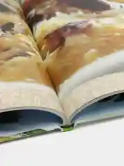 Кулинарная энциклопедия Скороварка, книга серии Вкусно по-домашнему