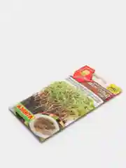 Микрозелень мангольд микс