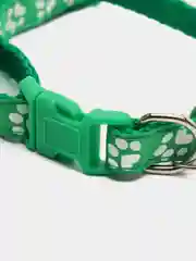 Зеленый ошейник для кошек и собак с колокольчиком
