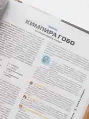 Еда из аниме. Готовь культовые блюда: от рамэна из "Наруто" до такояки из "Ван-Пис"