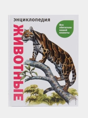 Животные. Все обитатели нашей планеты, Дэвид Элдертон