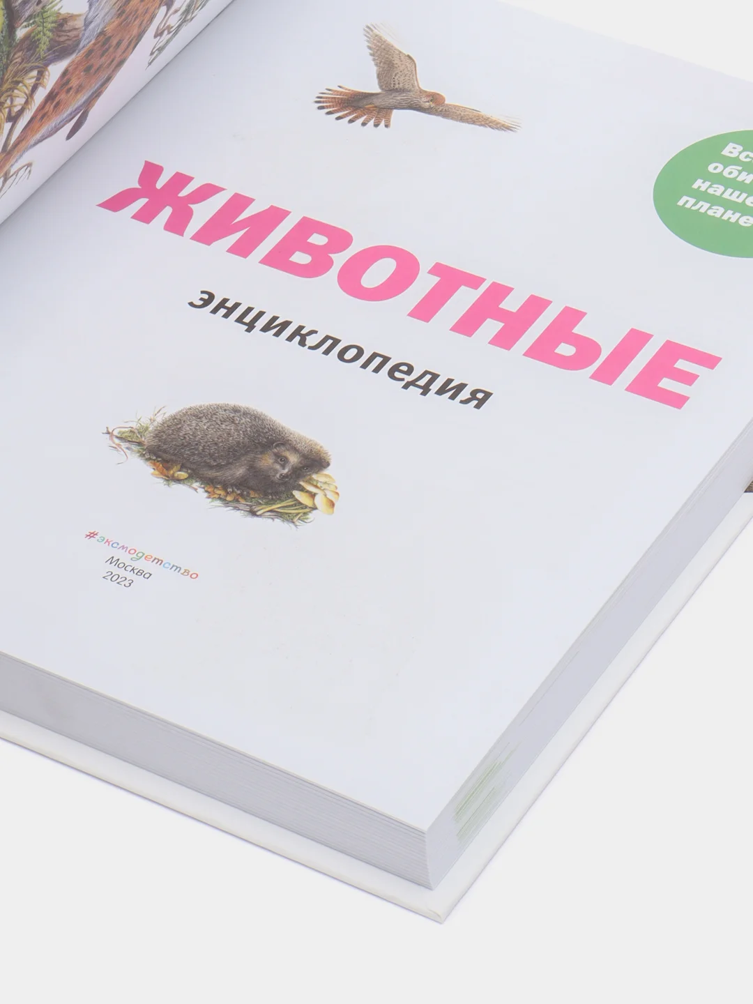 Животные. Все обитатели нашей планеты, Дэвид Элдертон
