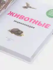 Животные. Все обитатели нашей планеты, Дэвид Элдертон