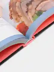 Большая энциклопедия домашней кухни для начинающих