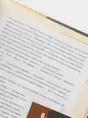 Гравити Фолз. Полная история. Сезон 2, Алекс Хирш