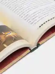 Гравити Фолз. Полная история. Сезон 2, Алекс Хирш