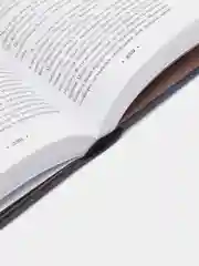 Поддай пару!, Терри Пратчетт