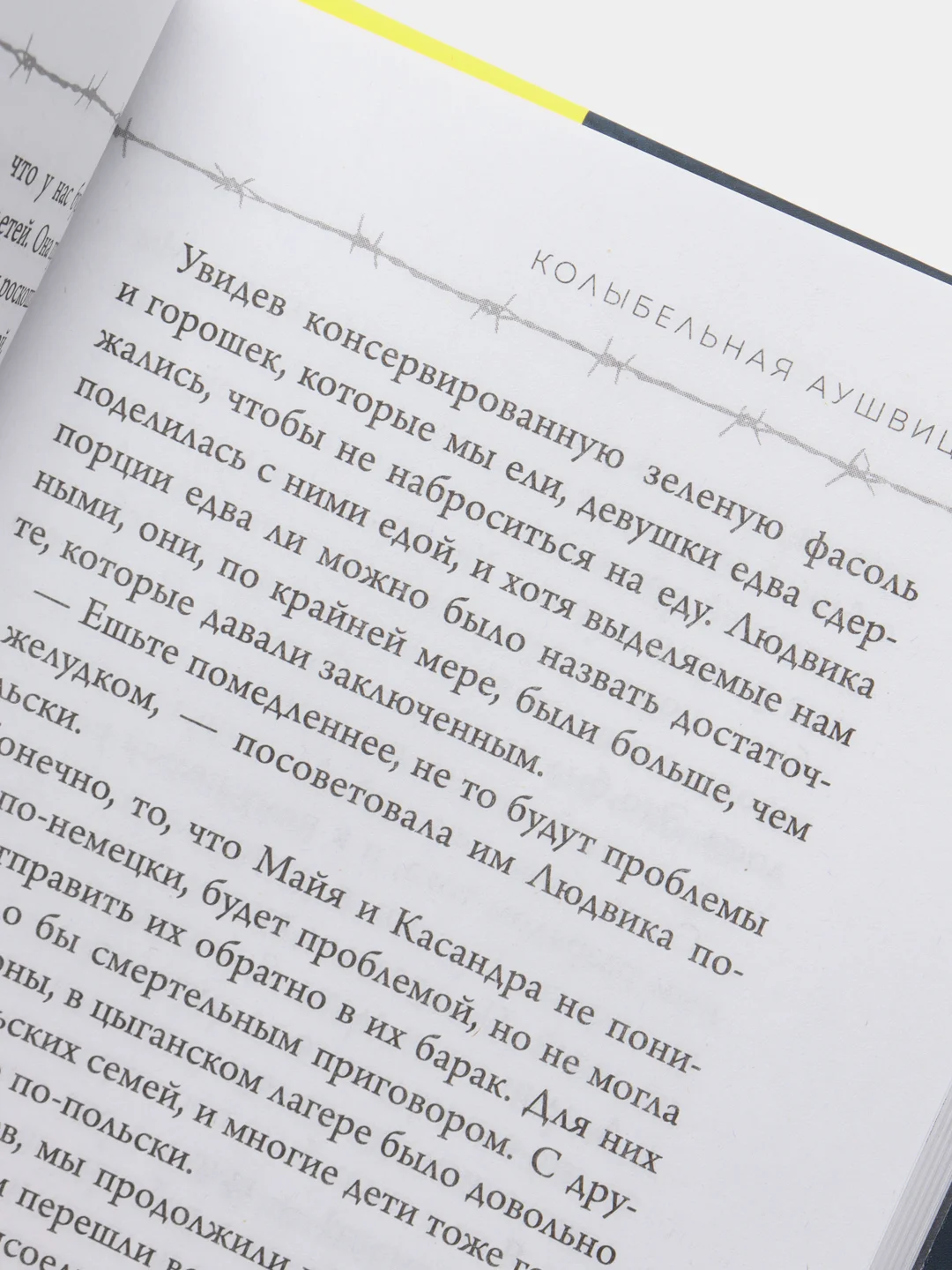 Колыбельная Аушвица. Мы перестаем существовать, когда не остаётся никого, кто нас любит