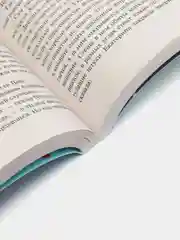 Корона Мышки-норушки, Дарья Донцова