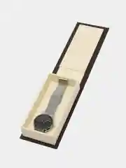 Серебряный женские наручные часы Hannah Martin HMa19190119, в подарочной упаковке