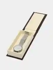 Серебряный женские наручные часы Hannah Martin HM731902, в подарочной упаковке