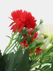 Алый искусственные цветы хризантемы, букет.