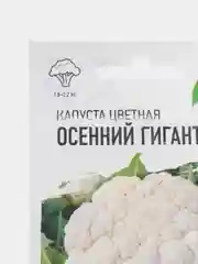 Семена капуста цветная "Осенний гигант", 0,1 г серия Хит х3