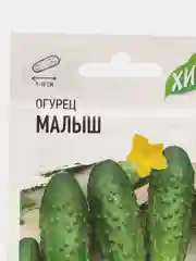 Семена Огурец "Малыш", ультраскороспелый, пчелоопыляемый, 0,5 г