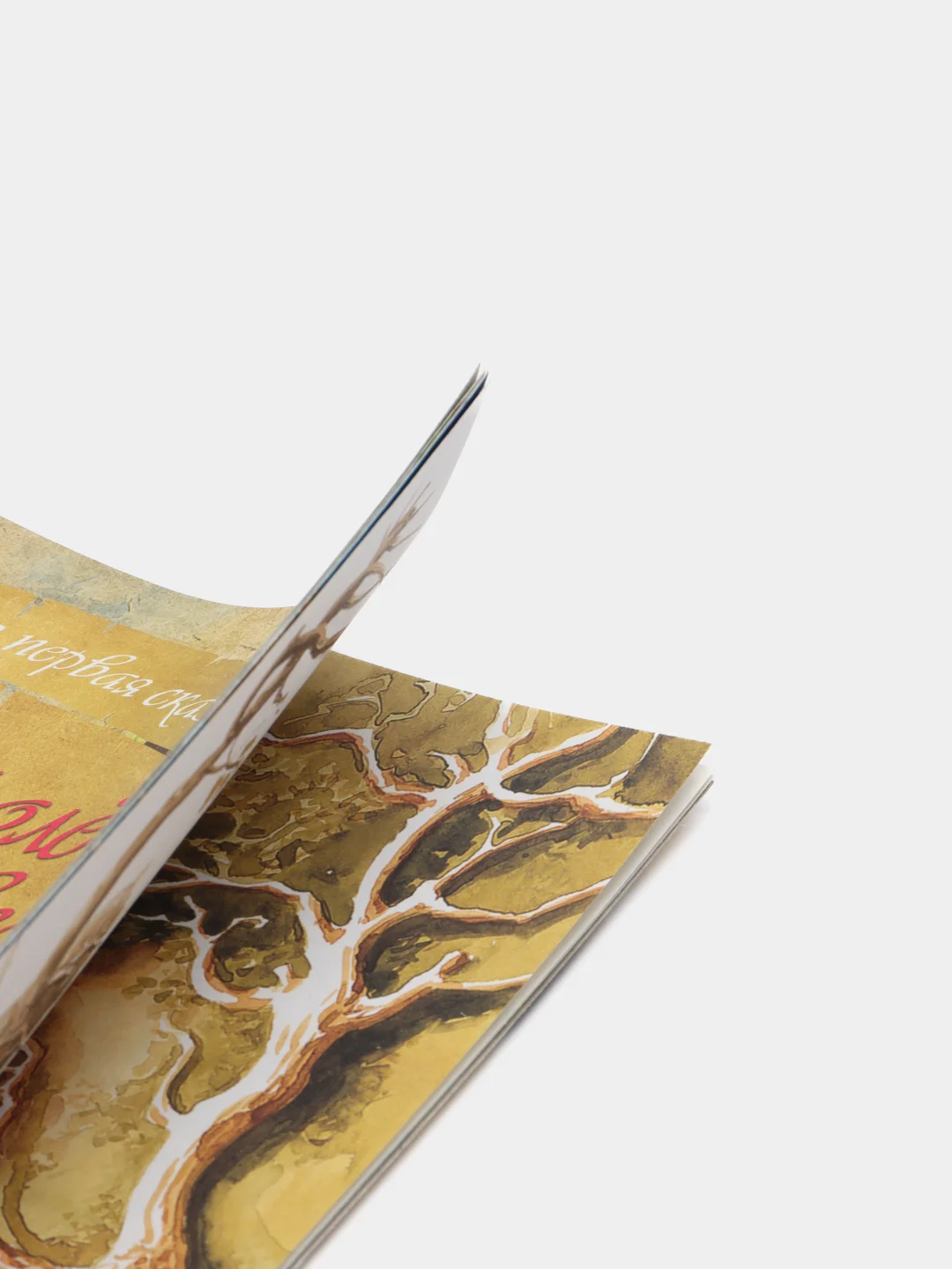Книга Моя первая сказка: Королёк и Медведь. Сказка для детей