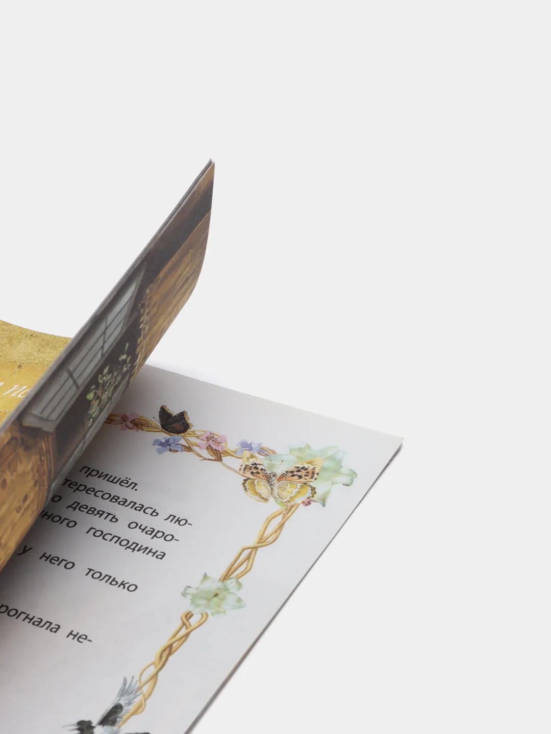 Книга "Моя первая сказка: Свадьба госпожи Лисы", сказка для детей