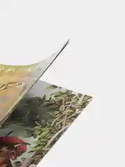 Книга для детей. Моя первая сказка: Сказки-сказочки