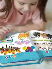Говорящая книга для детей Нажималка Цифры