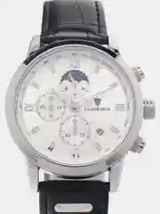 Серебряный мужские наручные часы Lige LG8953 с хронографом, в подарочной упаковке