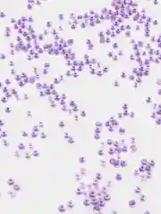 Фиолетовый бисер глянцевый, полупрозрачный для плетения,создания украшений и творчества девочек, 3 мм