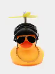 Угольный утка в шлеме в машину