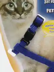 Синий шлейка с поводком прогулочная для кошек